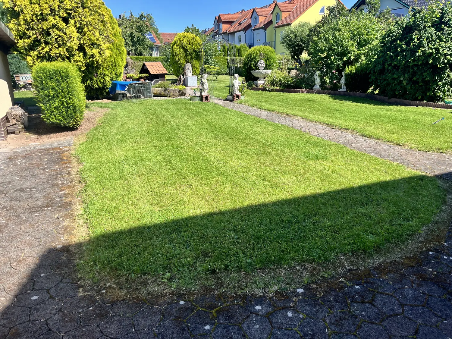 Referenzbild