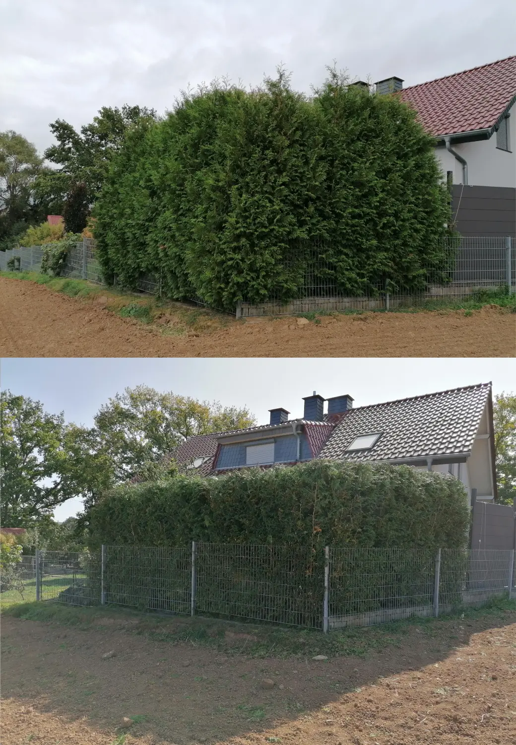 Referenzbild